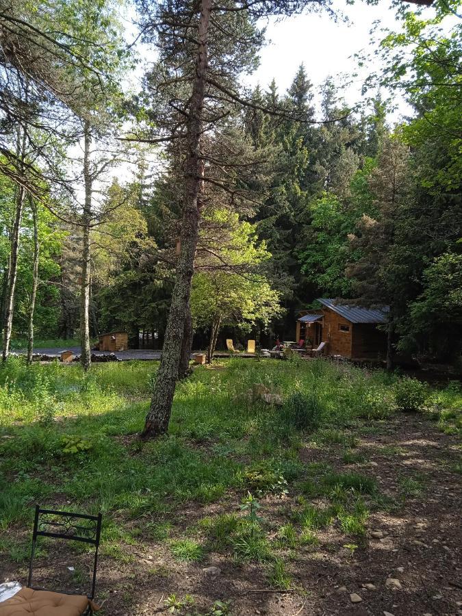 Chalet Cricri Domaine De La Mamounette Champclause Exterior photo