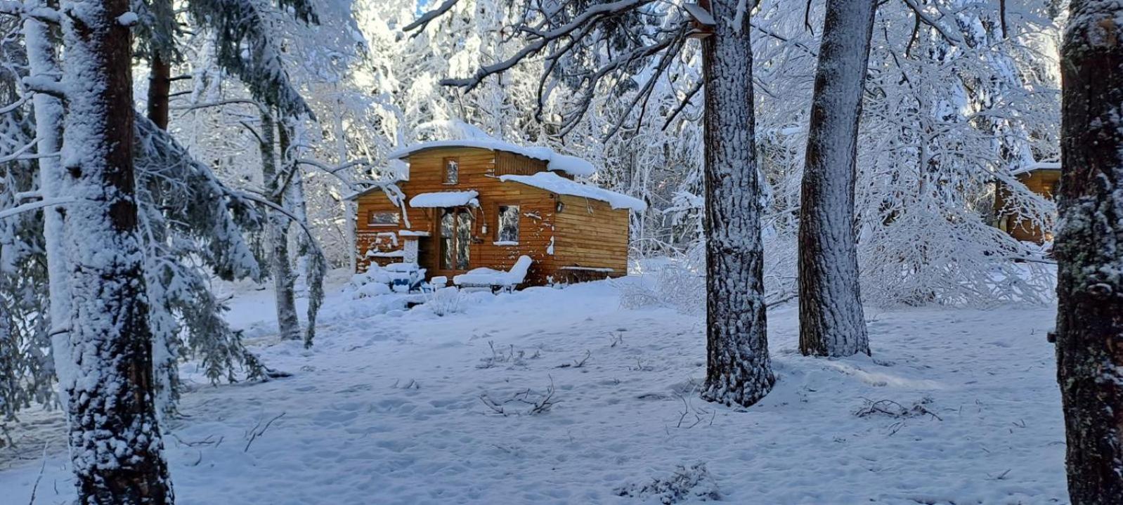 Chalet Cricri Domaine De La Mamounette Champclause Exterior photo